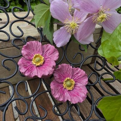 Lyserød blomst