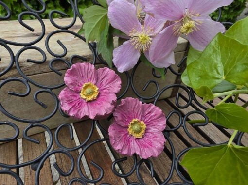 Lyserød blomst