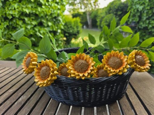 Solsikke