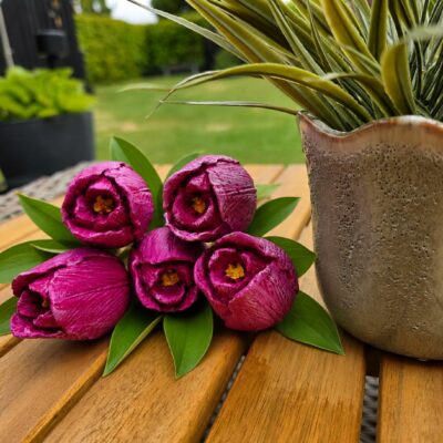 Tulipaner