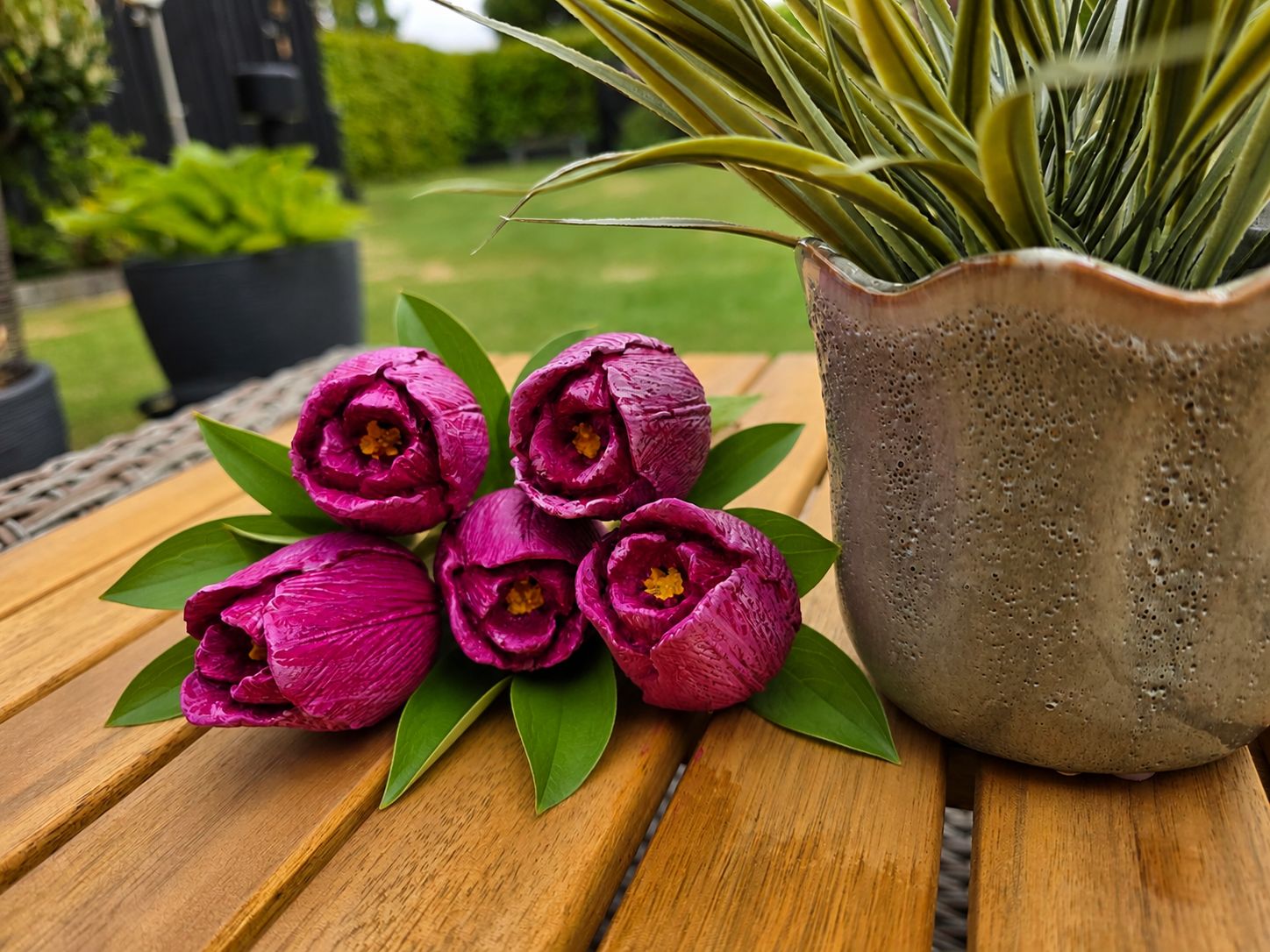 Tulipaner