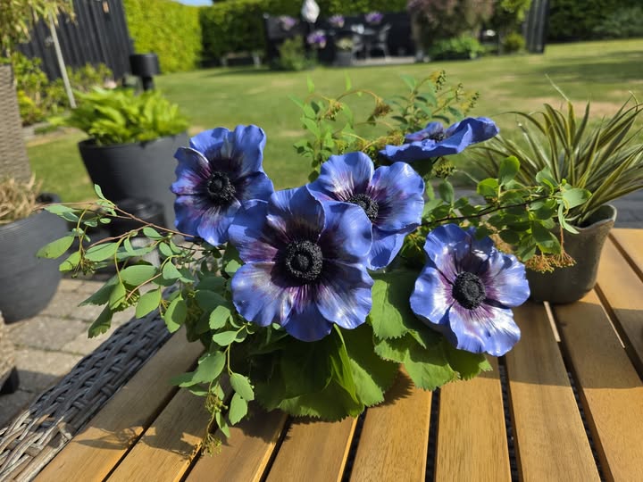Blå blomst
